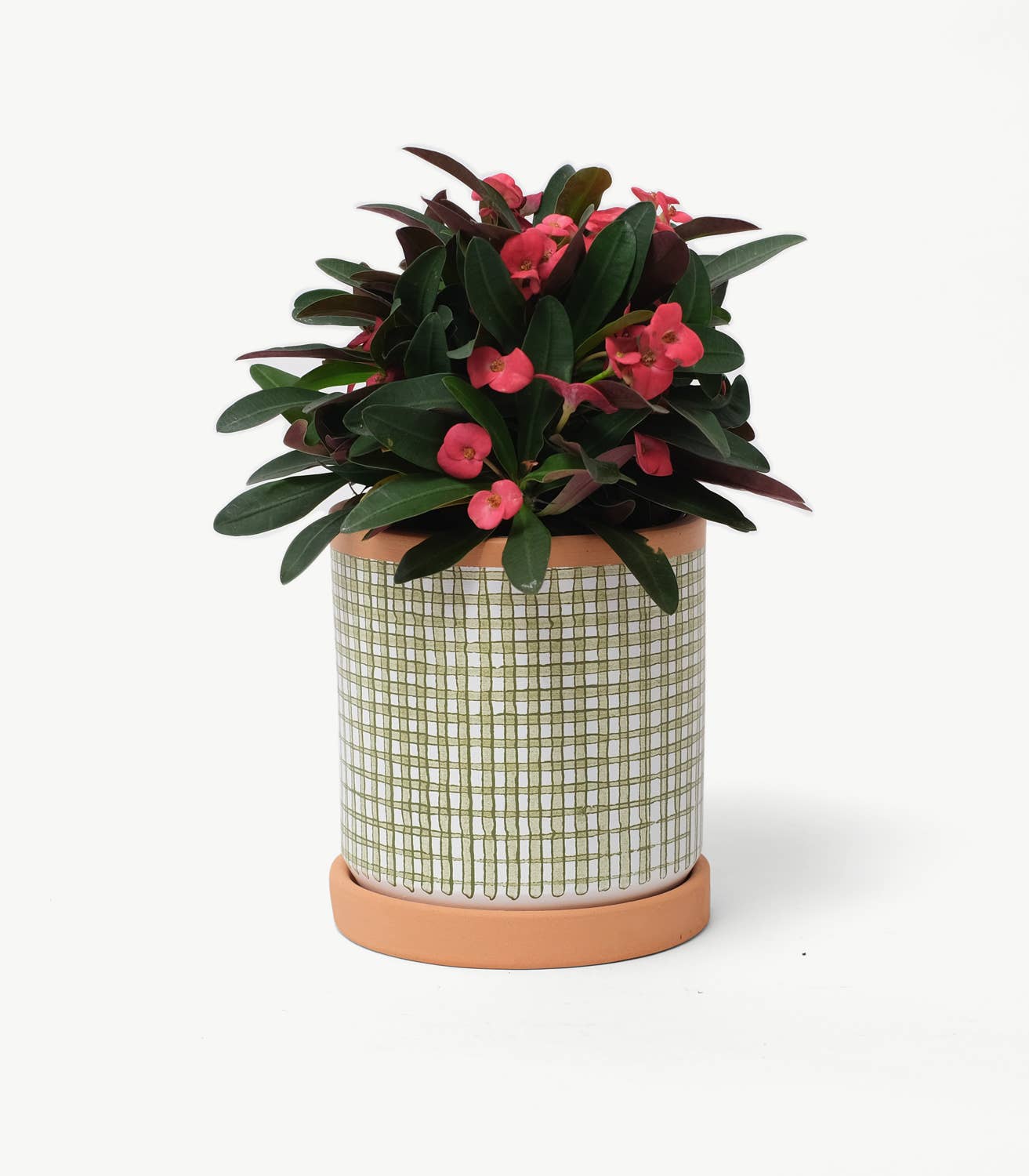 Casa Atlântica - Wholesale Plant Pot - Moss green checkered pot with saucer3