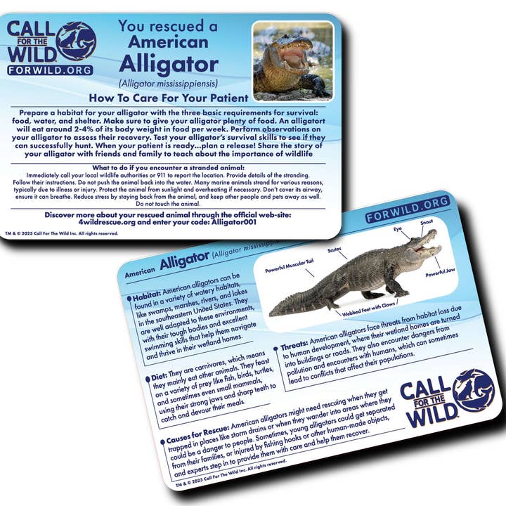 Call For The Wild - Wholesale Stuffed/Plush Toy - Kids & Baby - Rescue Alligator3