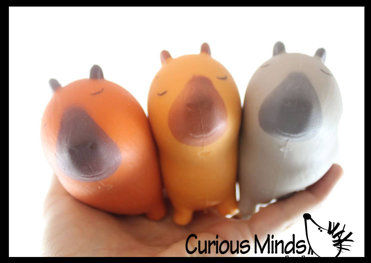 Curious Minds Toys - Wholesale Squishy Toy - Kids & Baby - 1 Capybara Squishy Squeeze Stress Ball Soft Doh Filling - L0