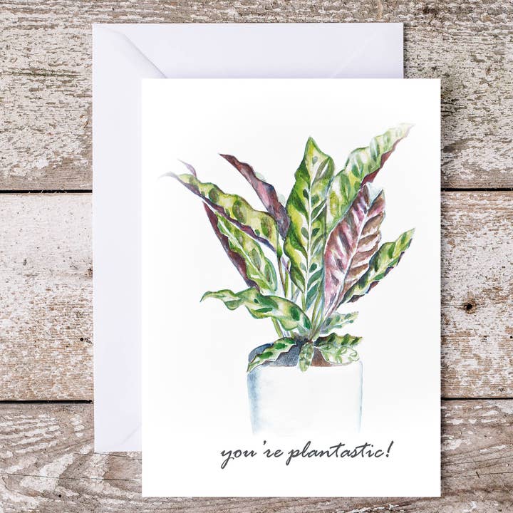 House Plant card "you're plantastic!" plant parent gardener for wholesale by Art Reflects Light