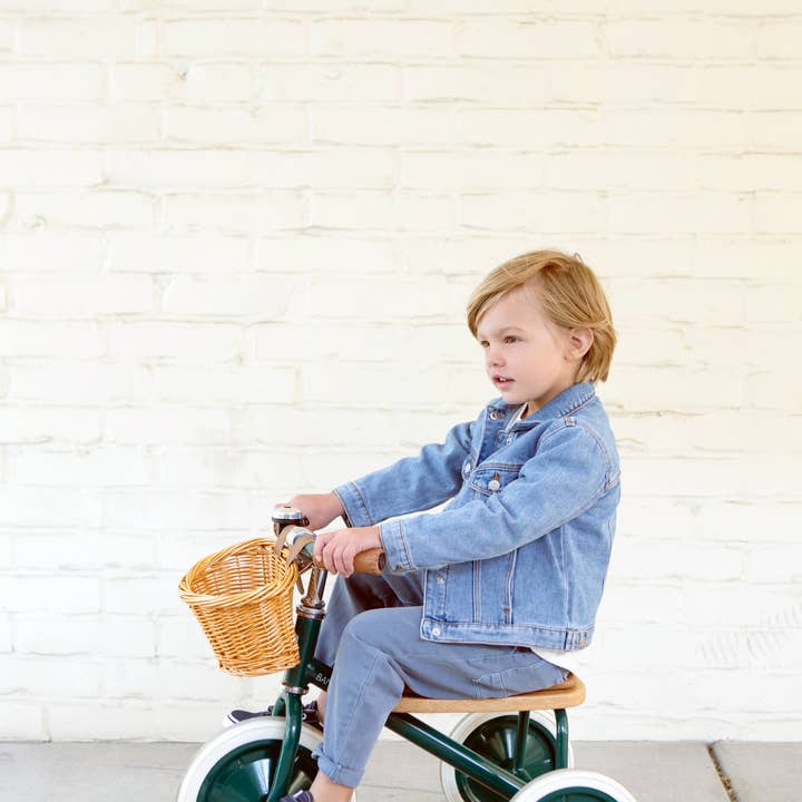 Banwood SL Europe - Wholesale Bike/Scooter - Kids - BANWOOD TRIKE VINTAGE - GREEN1