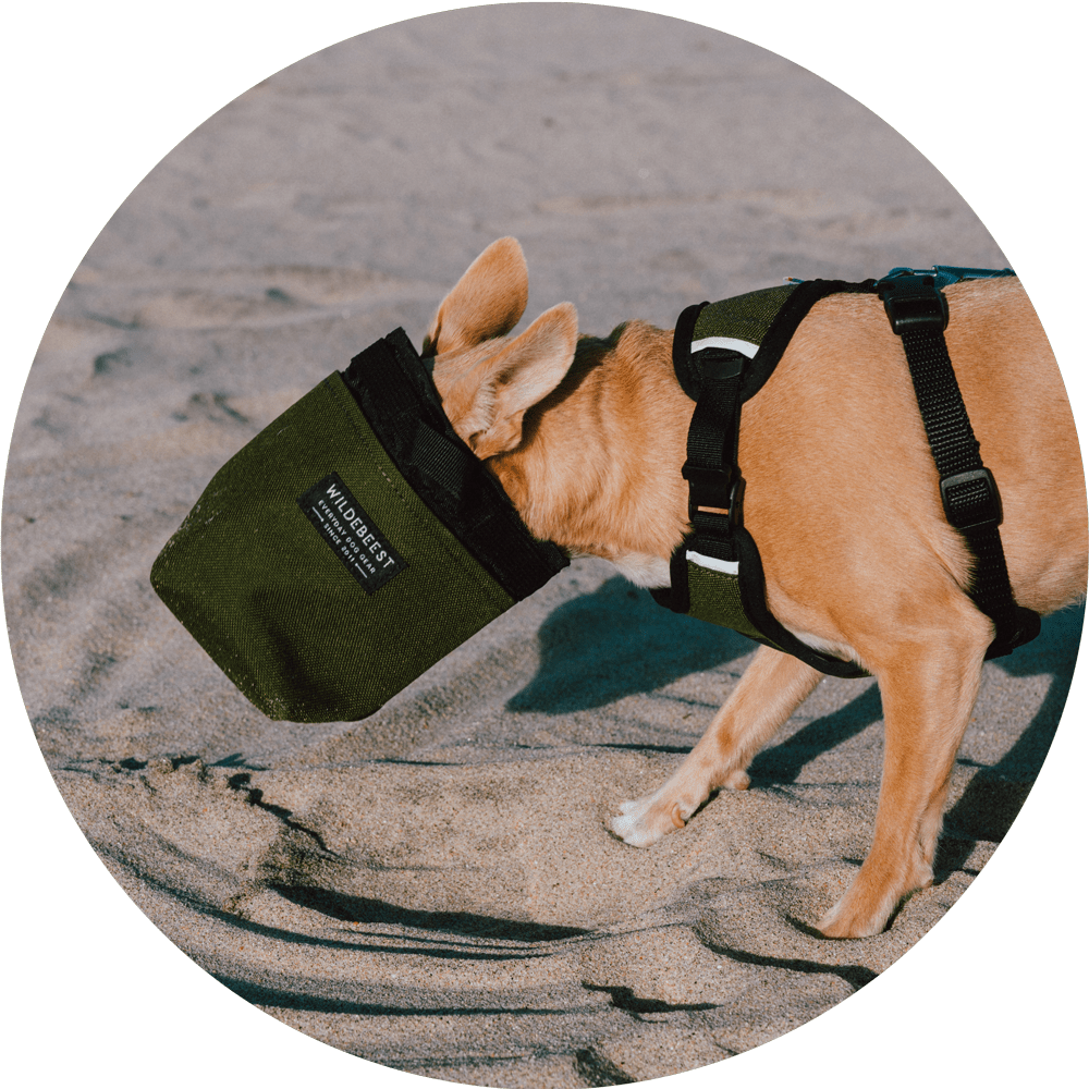 Wildebeest - Wholesale Pet Treat Bag - Dog - Alamo Magnetic Dog Treat Pouch13