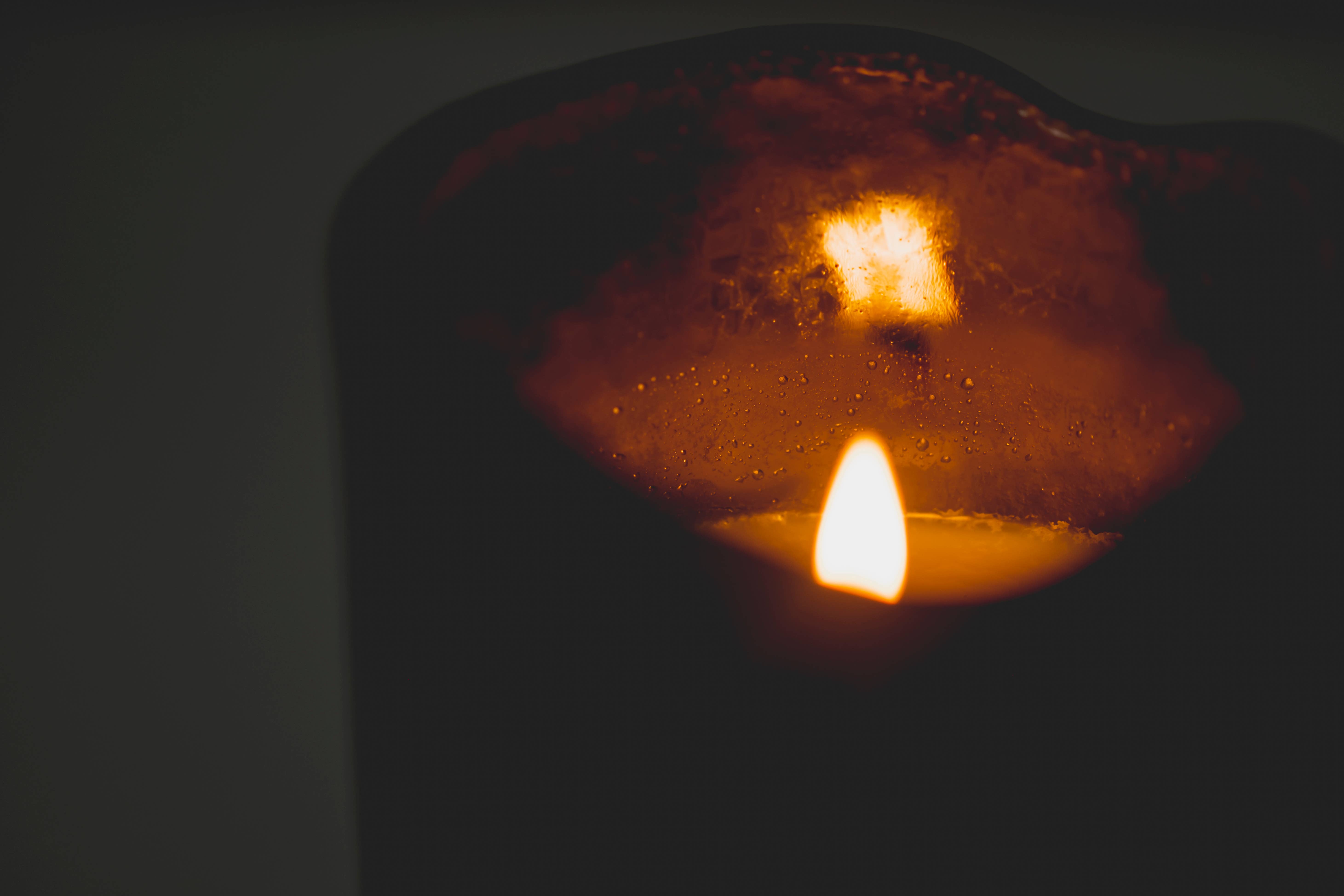 Huukyou - Wholesale Jar/Filled Candle - Japanese Modern Handmade Candle | Miyamagi - woody forest5