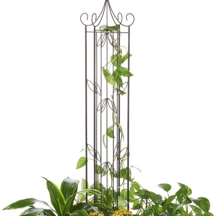 Large Black Trellis potted climbing flowers obelisk garden for wholesale by DDecorStore