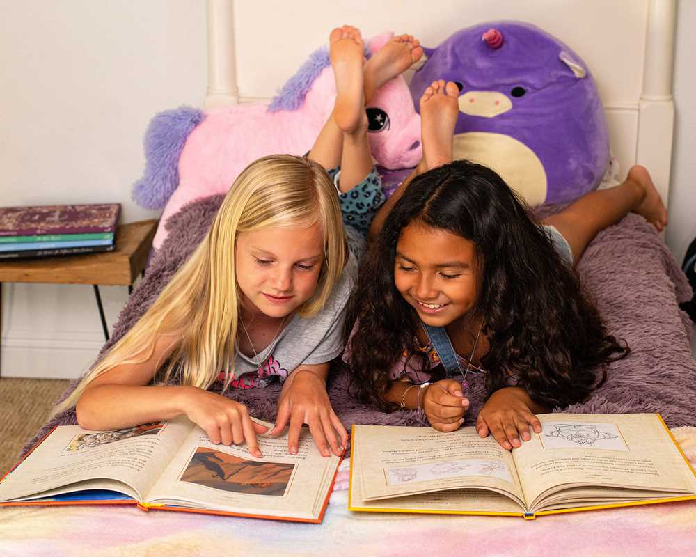 Simon & Schuster - Wholesale Display Book - Disney Animated Classics: The Lion King by Editors of Studio Fun International5