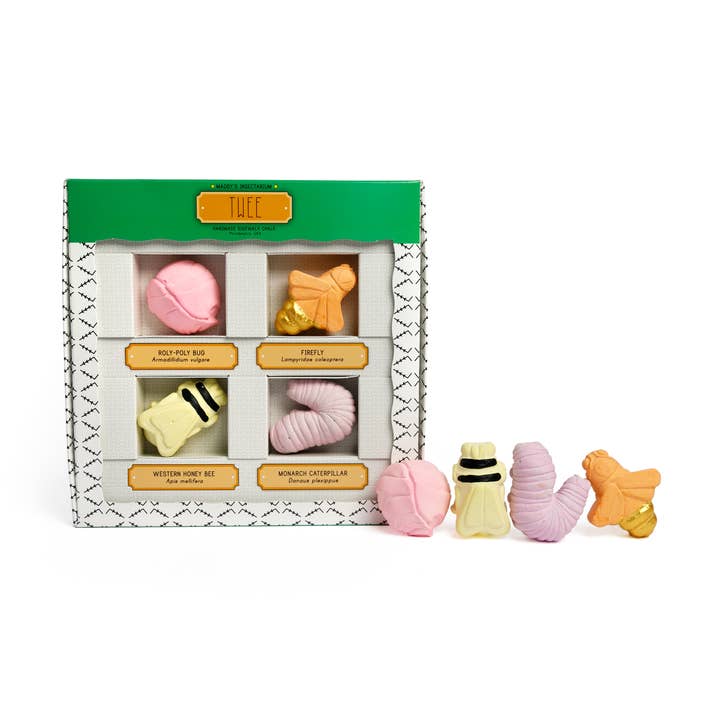 MADDYS INSEKTARIUM | TWEE HANDGJORD GATUKRITA för wholesale av TWEE made for little hands