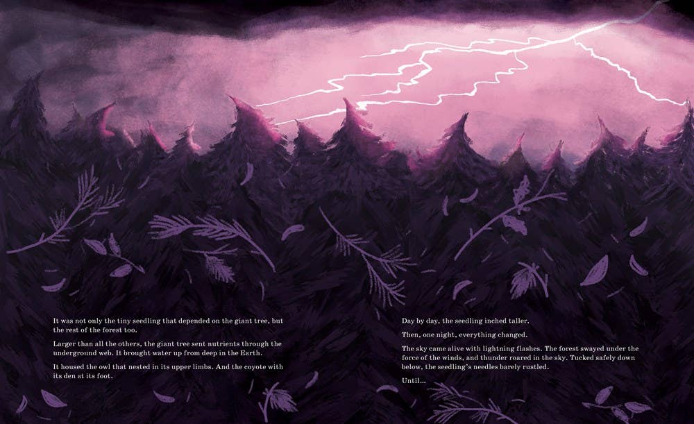 Sourcebooks - Wholesale Nature & Outdoors - Listen to the Language of the Trees (TP)4