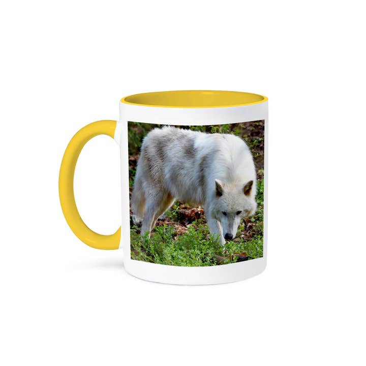 3dRose - Wholesale Coffee Mug - 3dRose, Female Gray Wolf A white colored female gray wolf, Mug