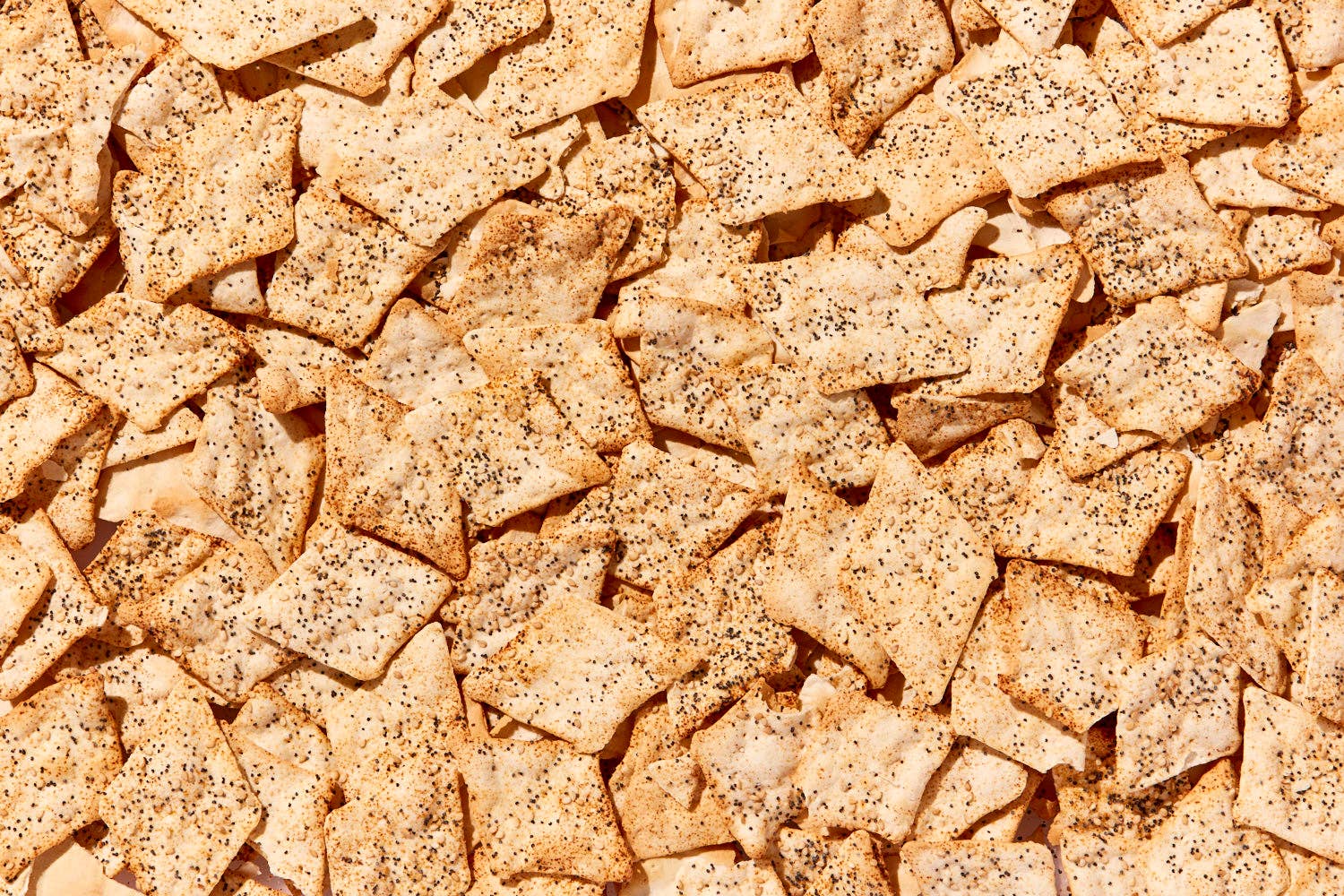 The Matzo Project - Wholesale Chips - Large Bag of Everything Matzo Chips2