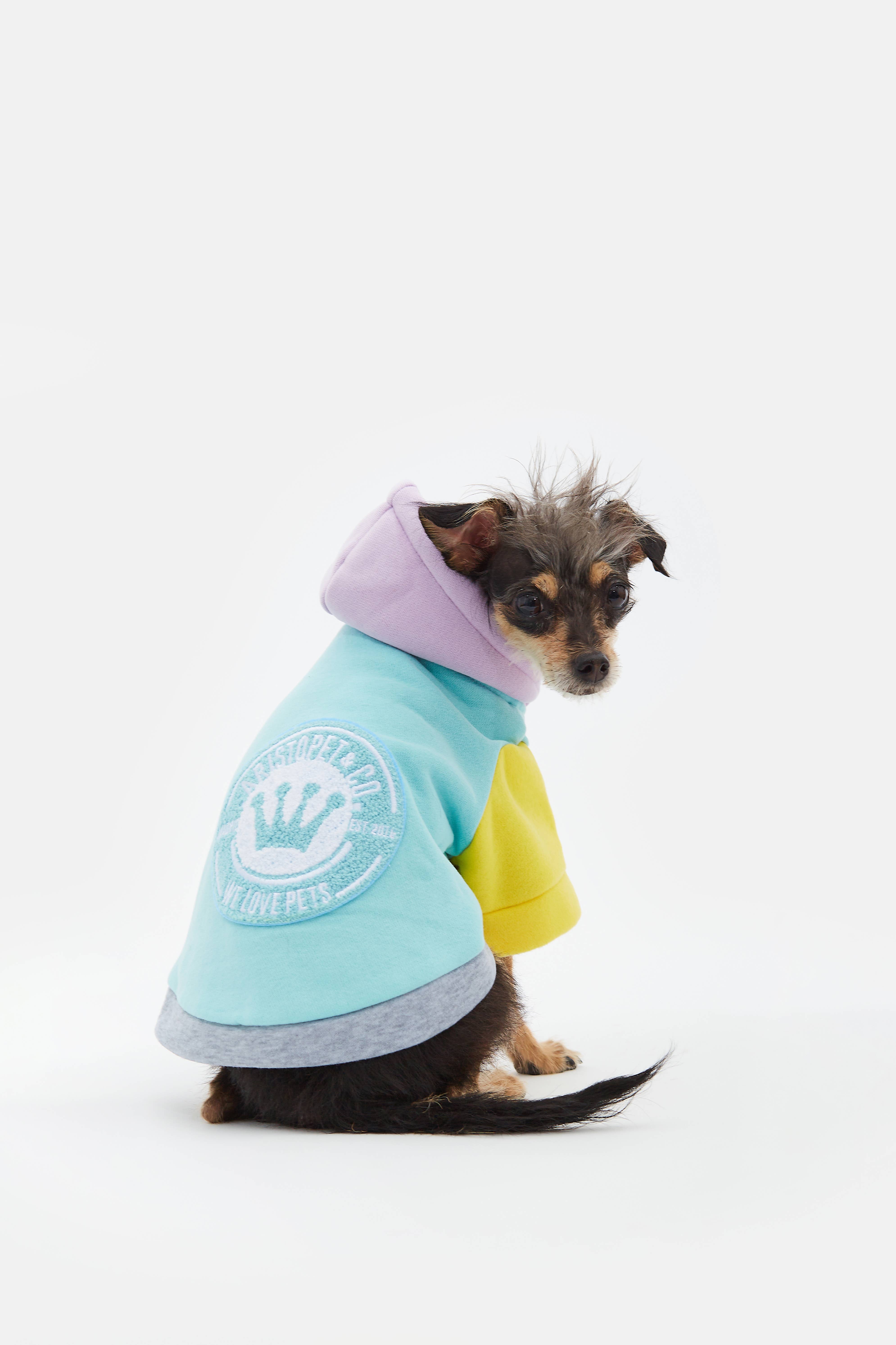 ARISTOPET - Wholesale Pet Hoodie - Dog - AUGUSTO AQUA HOODIE SWEATSHIRT7