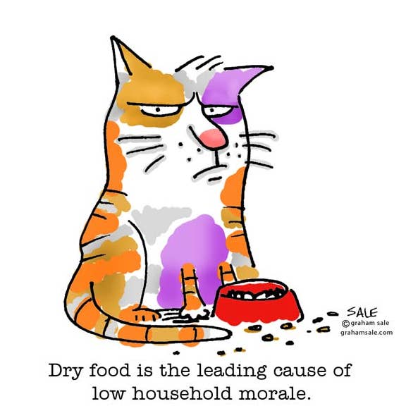 Comida seca. (Tarjetas de felicitación o alfombrillas de ratón) para venta al por mayor de Graham Sale