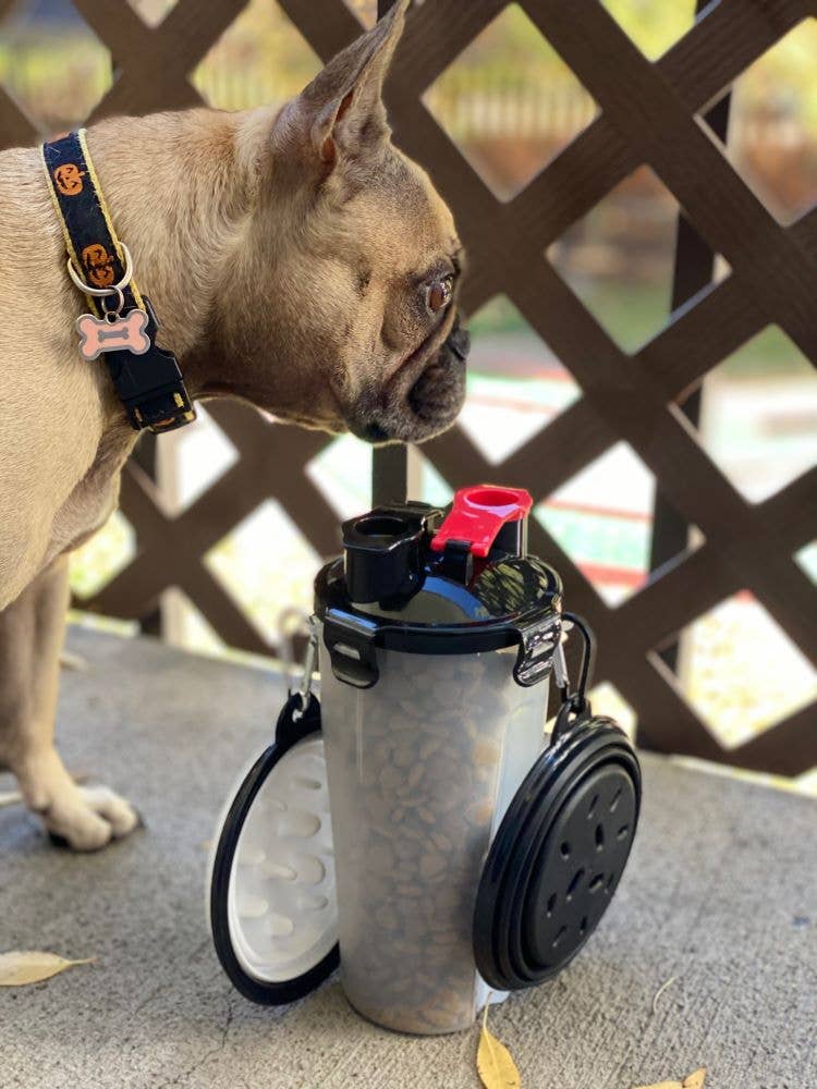 PAWZ - Wholesale Pet Travel Bowl - Dog - Pet Food & Water Travel Bottle & Bowls