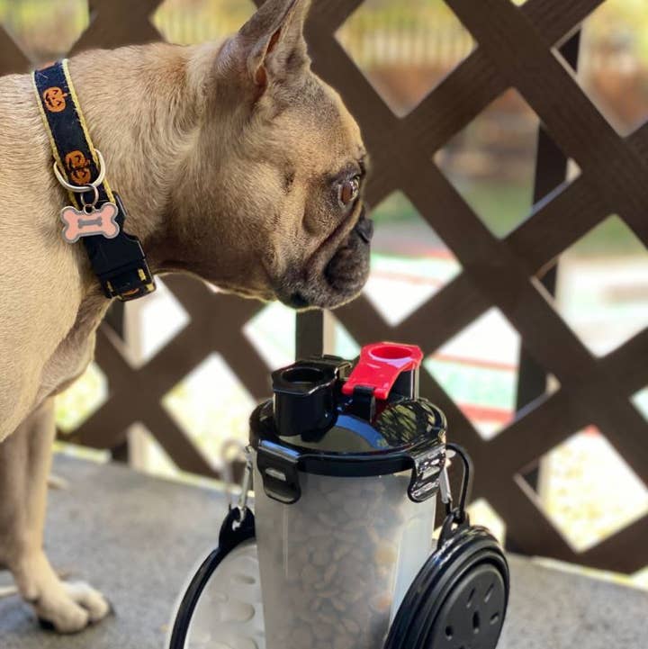 Set da viaggio PAWZ: bottiglia per cibo e acqua con ciotole pieghevoli per la vendita all'ingrosso da parte di PAWZ