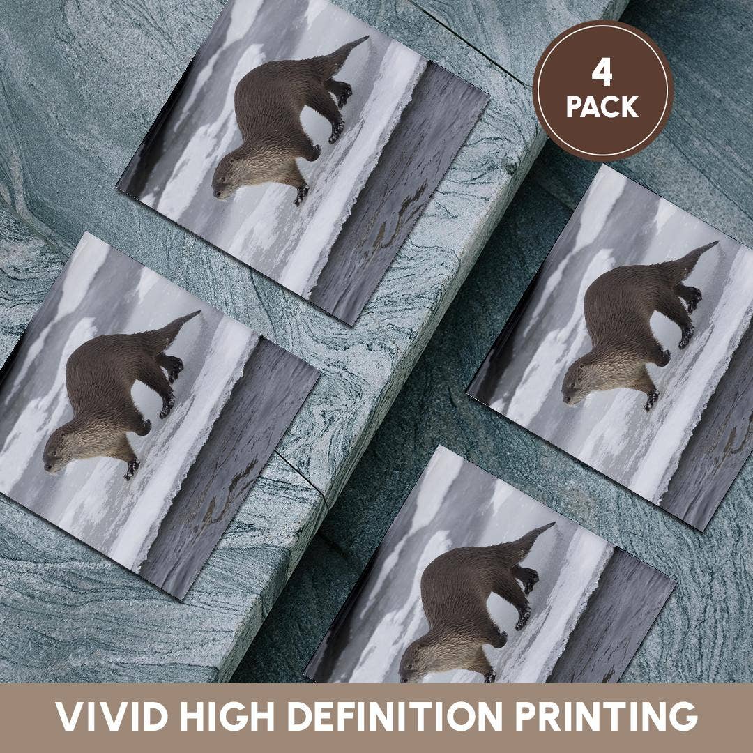 3dRose - Wholesale Coasters - 3dRose, River otter on ice, Coaster5