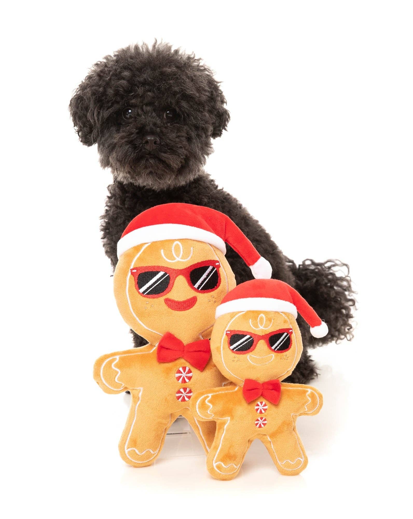 In Vogue Pets – wholesale Pet plush toy – Dog – Mr Gingerbread3