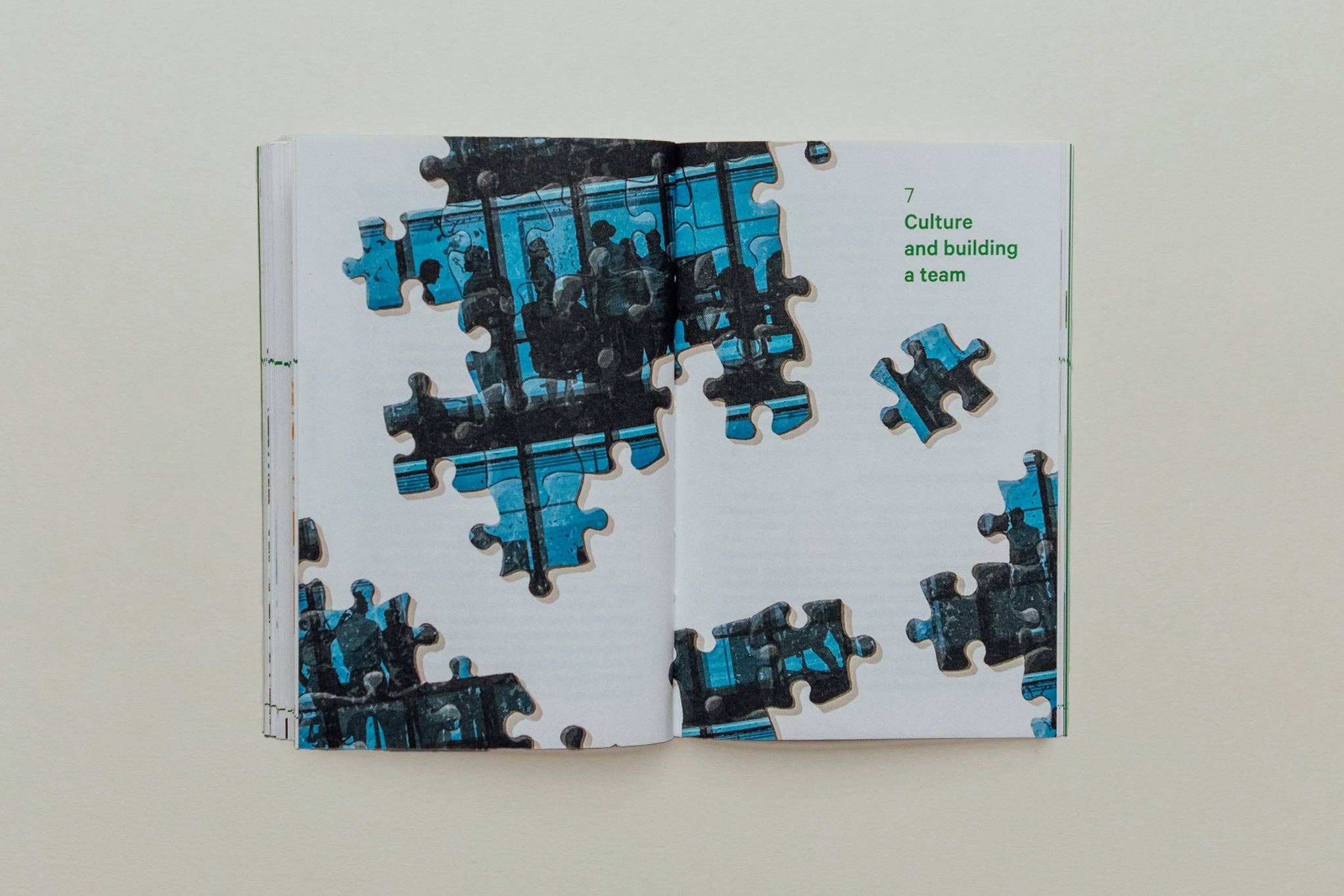 Do Books - Wholesale Business & Finance Book - Do Start, Guide to Starting a Business5