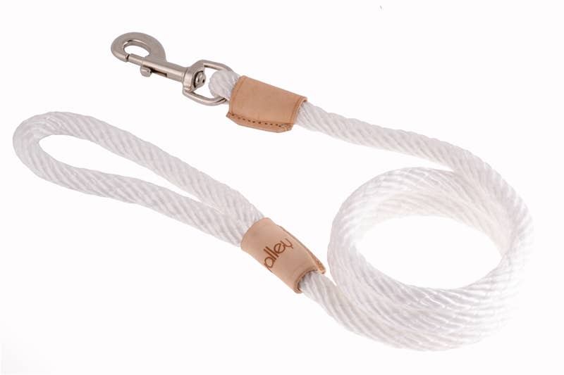 Alvalley – wholesale Pet leash – Dog – Sport Snap Lead26