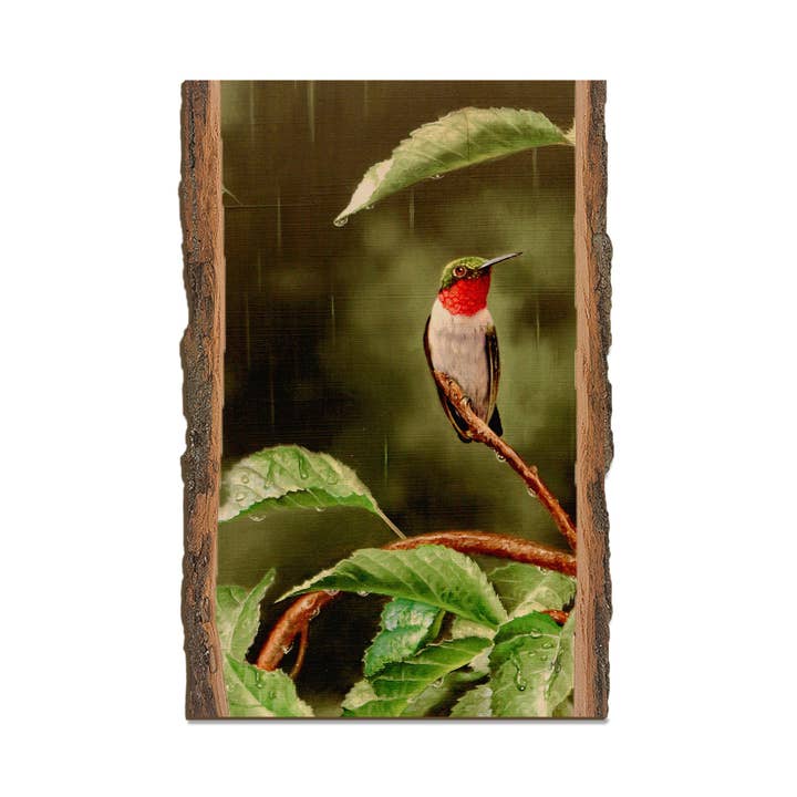 Le Petit Refuge de Kelso - Bord Vivant pour la vente par DaydreamHQ