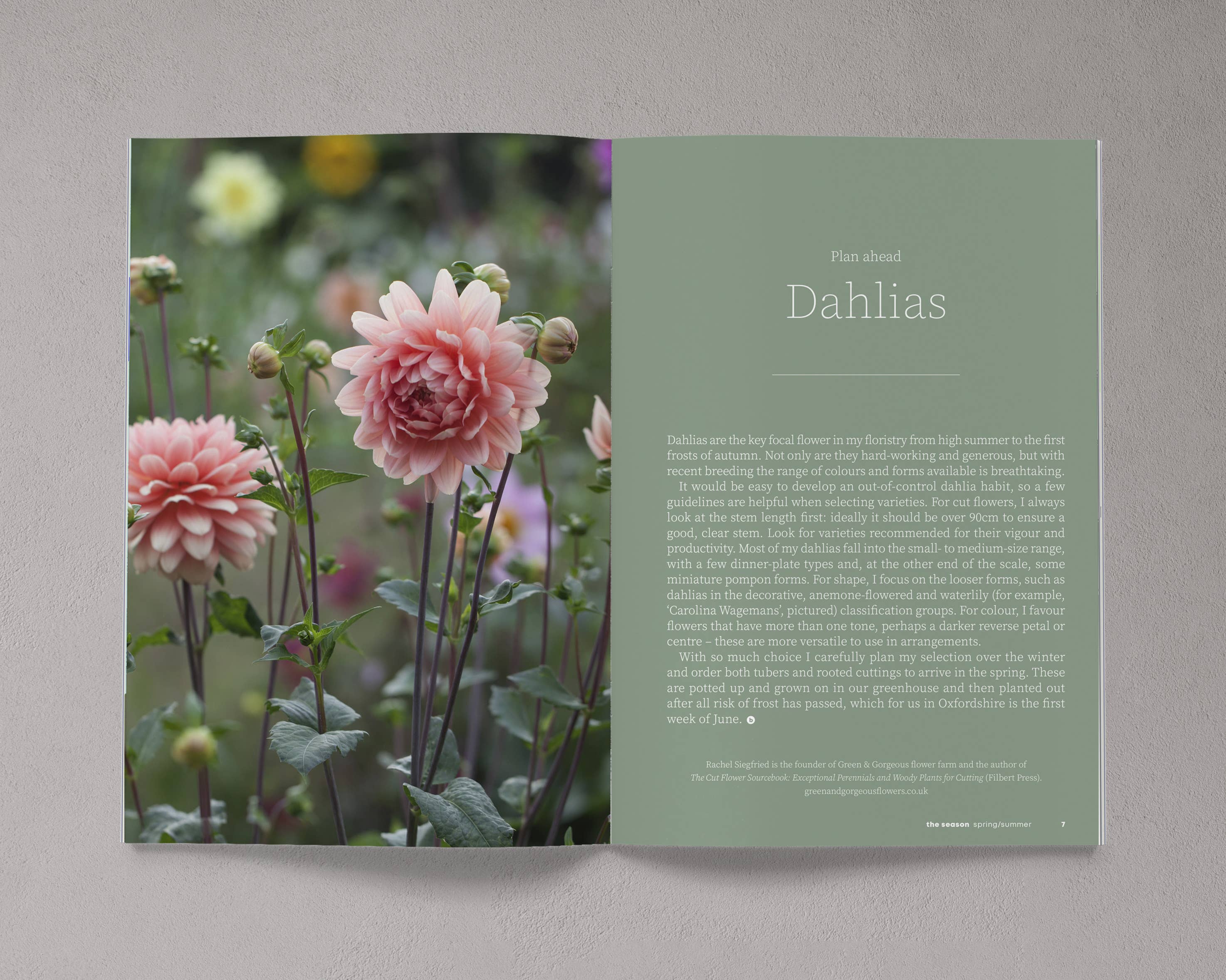 Bloom – wholesale Magazine – Issue 16 – Spring/Summer 20242