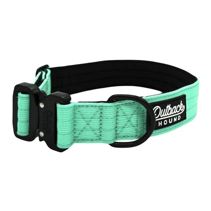 Collier pour chien Mint Premium pour la vente par Outback Hound