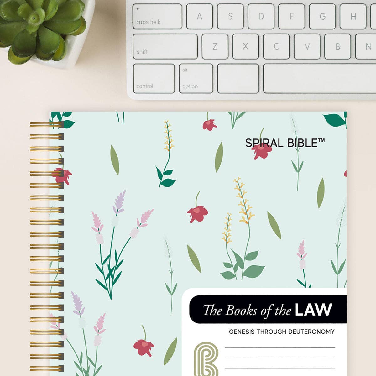 Spiral Bible - Wholesale Display Book - Spiral Bible™ - WEB - Genesis - Deuteronomy2