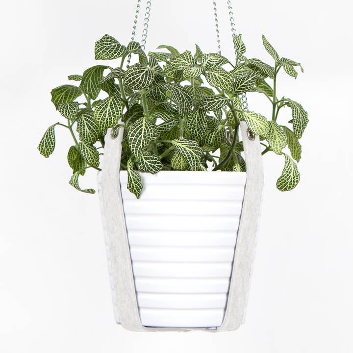 Studio 82° - Wholesale Hanging Planter - Plant Hanger - Merino Wool Felt