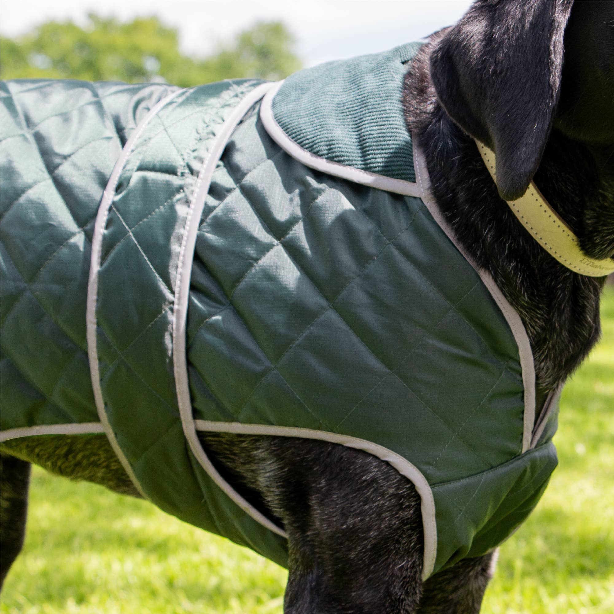 Ancol Pet Products Ltd - Wholesale Pet Coat - Dog - Heritage Green  Quilt Dog Coat XS-XXL 3