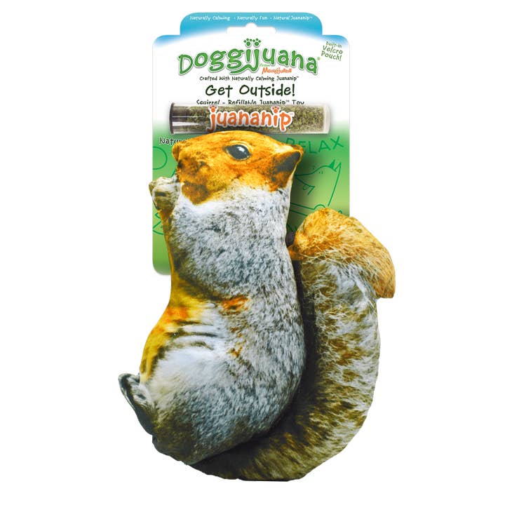Doggijuana - Wholesale Pet Toy - Dog - Get Outside Squirrel Refillable Dog Toy