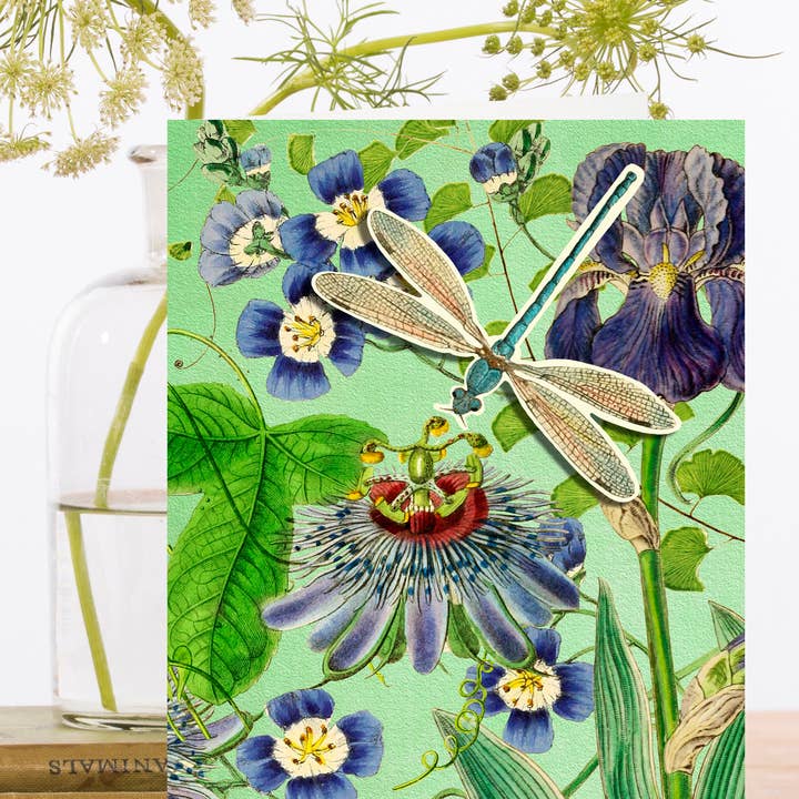 Madame Treacle - Wholesale Everyday Greeting Card - PU004P ~ Pop Up Greeting Card with Dragonflies