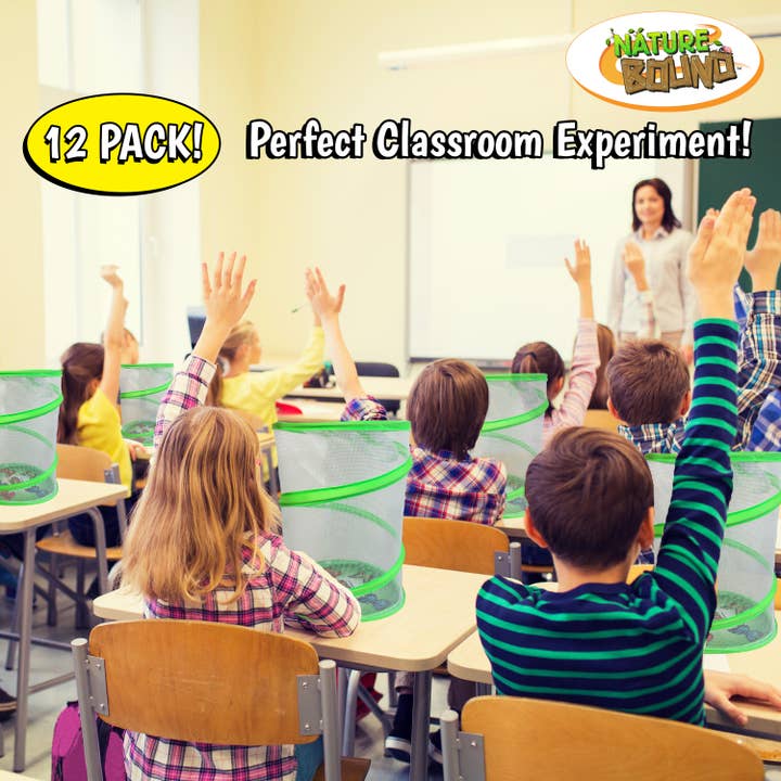 Thin Air Brands - Wholesale Toy Set - Kids - Butterfly Kit in PDQ4