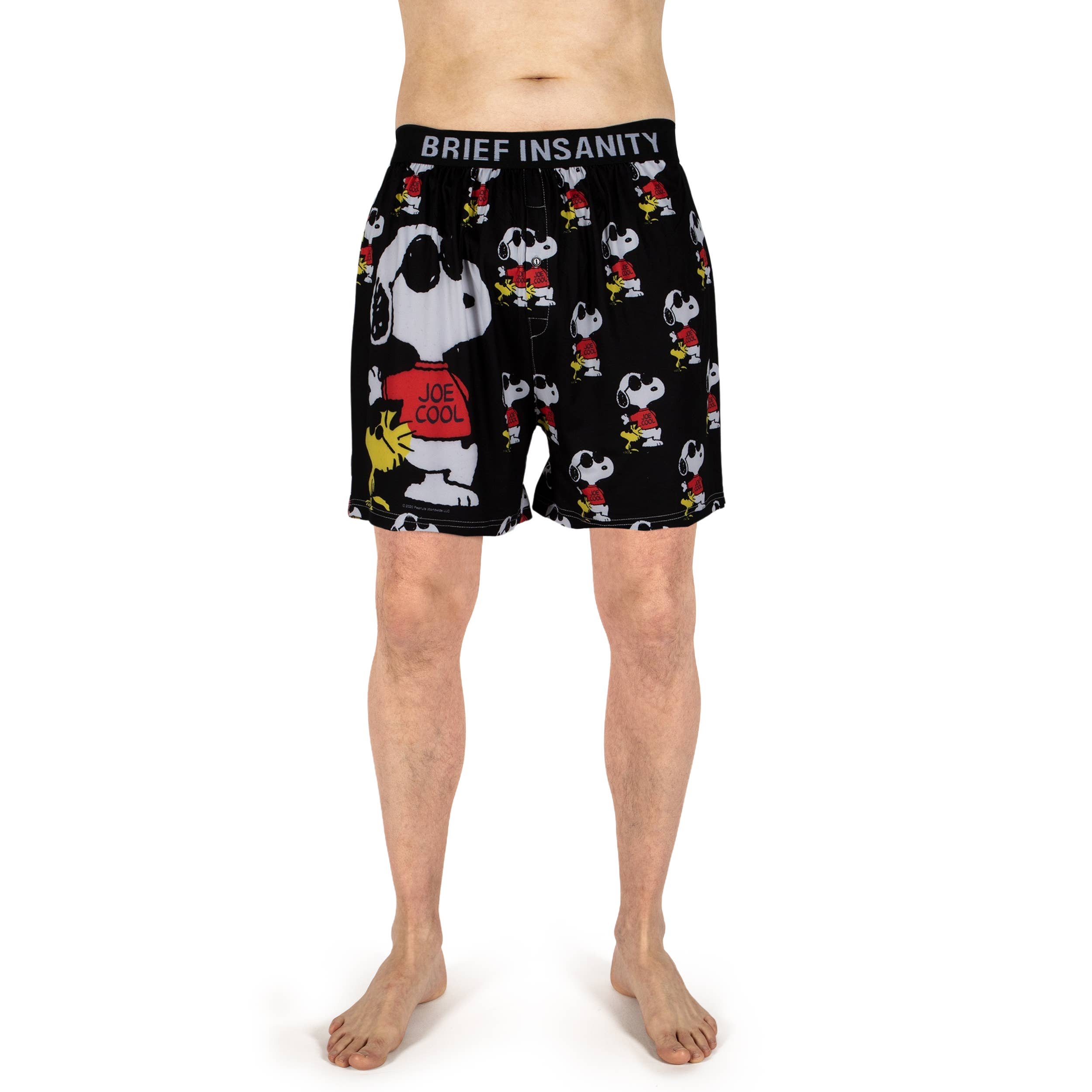 BRIEF INSANITY - Wholesale Underwear - Men's - Snoopy Joe Cool Boxers