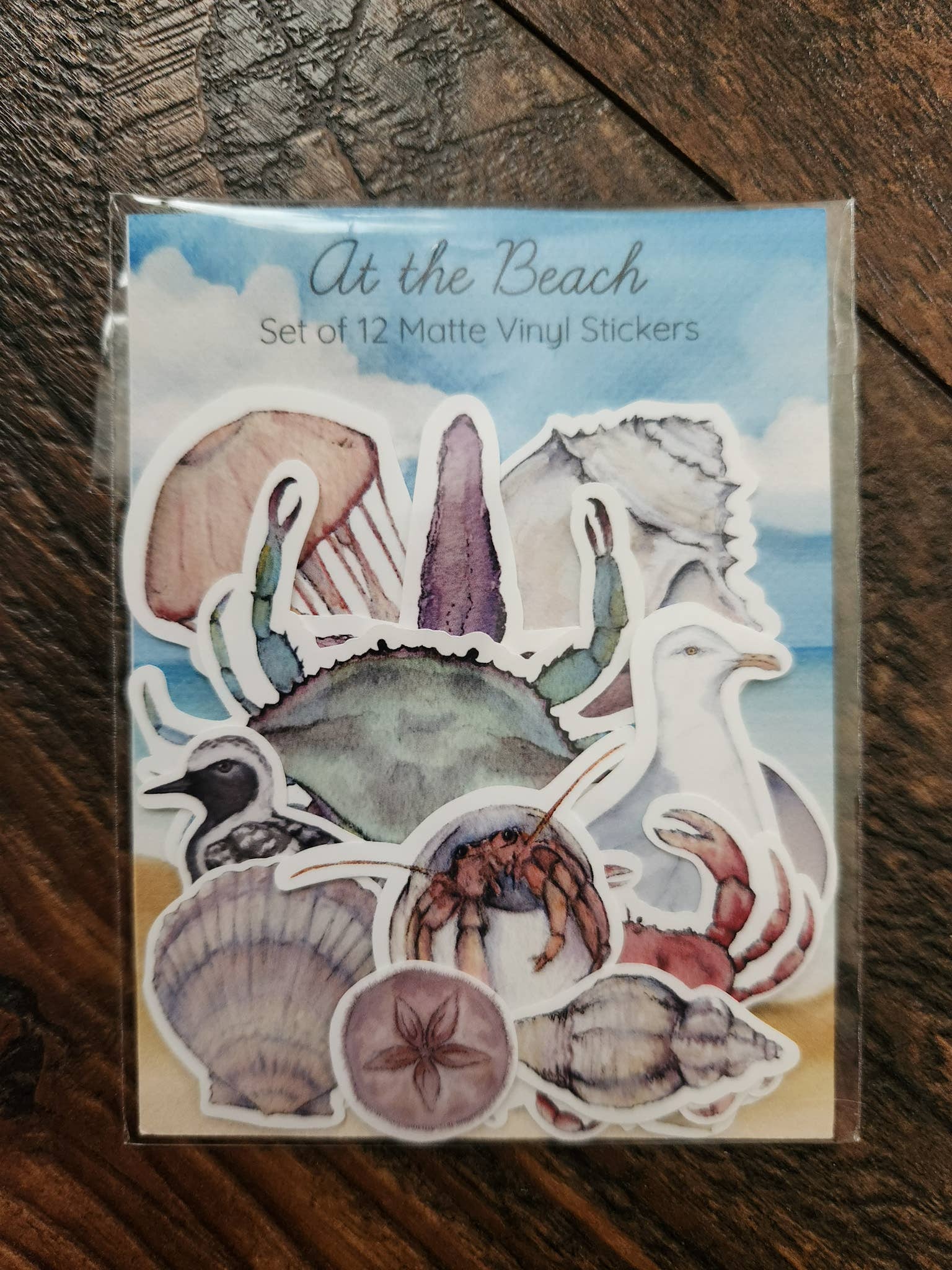 Stephanie Hathaway Designs - Vendita all'ingrosso Adesivo - Pacchetto di Adesivi da Spiaggia, Set di 12 Adesivi in Vinile Opaco1