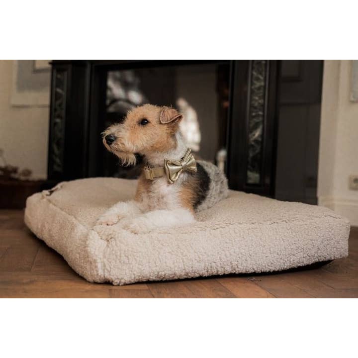 Studio Proud - Vendita all'ingrosso Collare - Cani - Copacabana - Collare per cani dorato con accessori dorati