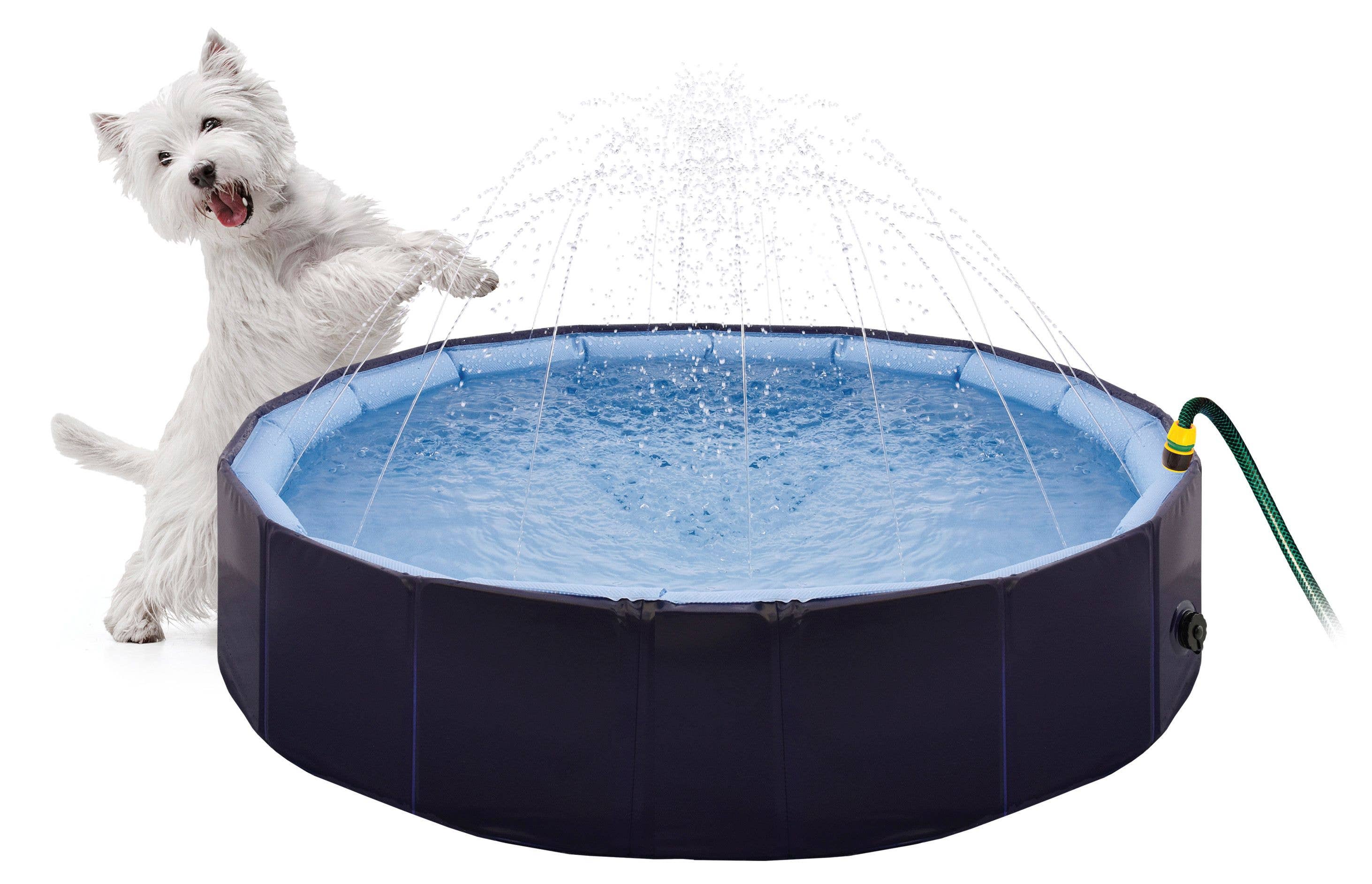 Blue Splash Pool 2 In 1 Dog Pool for wholesale on Faire1