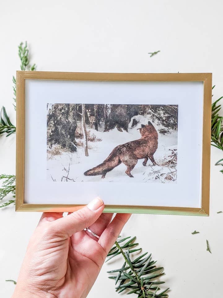 Fox Remastered Vintage Print for wholesale by The Nutmeg Home