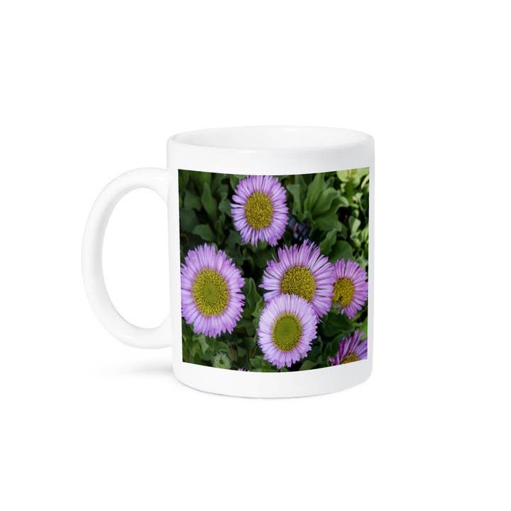 3dRose - Wholesale Coffee Mug - 3dRose, Erigeron Flowers, Mug8