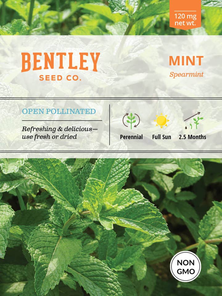 Mint, Spearmint Seed Packets for wholesale by Bentley Seed Co.