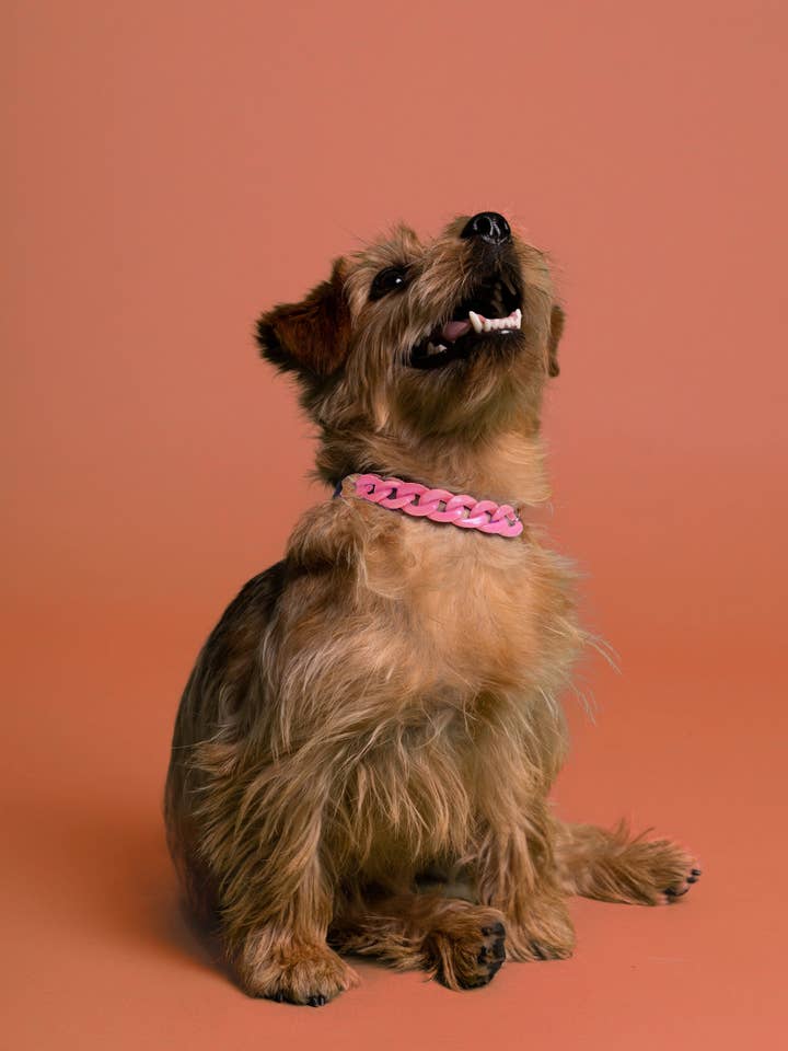 PANZERKETTE AUS HARZ für den Großhandel von BAND OF HEARTBREAKERS