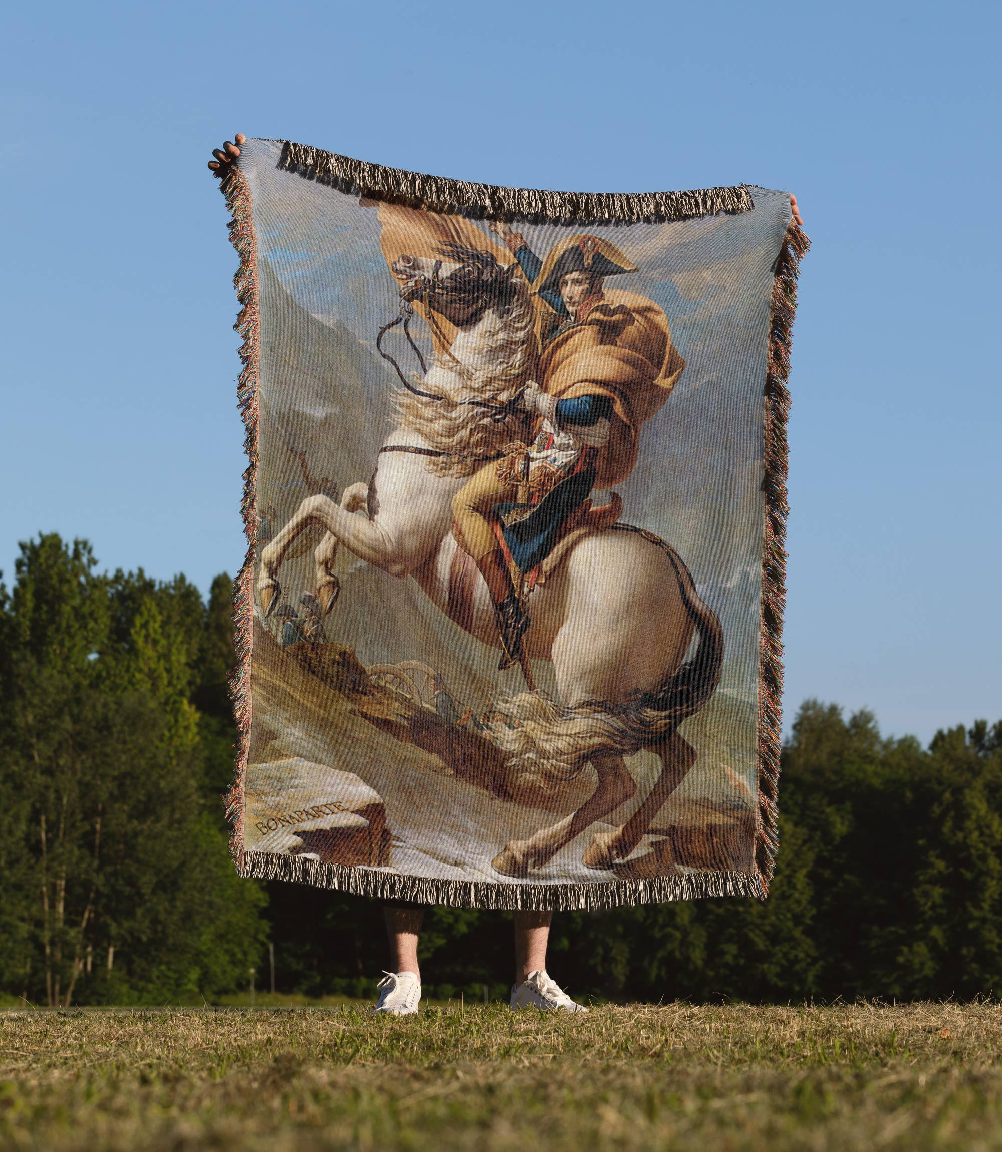 3dRose - Wholesale Throw Blanket - 3dRose, Napolean Crossing the Alps by Jacques-Louis David, Blanket1