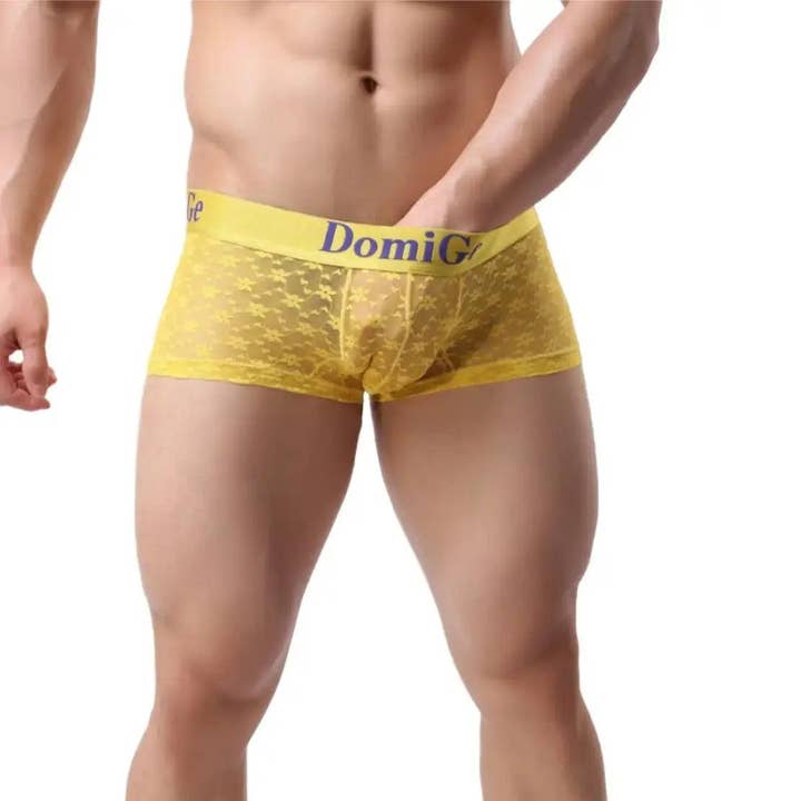 DomiGe - Wholesale Ondergoed - Heren - Trunks van mesh en doorschijnend materiaal voor heren met stijlvolle tailleband met logo, ultiem comfort en verleiding voor mannen15