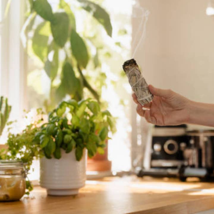 White sage for wholesale by Rezo