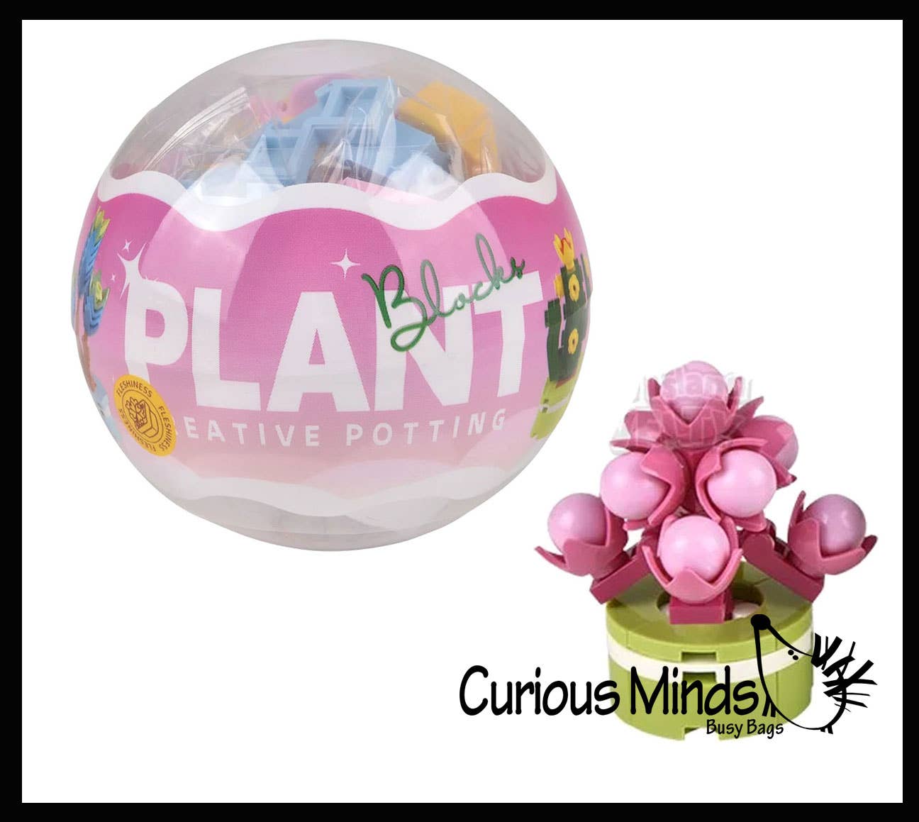 Curious Minds Toys – Großhandel Baukasten – Kinder – 1 Mini-Pflanze Sukkulente Blumen-Baustein-Set Spielzeug -7