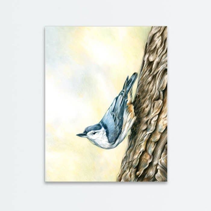 Motif sittelle à boutonnage blanc pour la vente par Amanda Surveski Wildlife Art