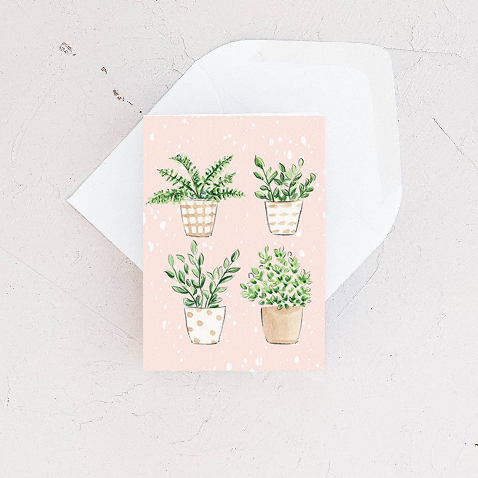 Almeida Illustrations - Wholesale Everyday Greeting Card - Mini Card - Plants Quartet -Everyday Botanical Enclosure Card2
