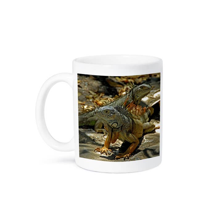 3dRose - Wholesale Coffee Mug - 3dRose, Mexico, Ixtapa, Zihuatanejo, Iguana lizards - SA13 CMI0626 - Cindy Miller Hopkins, Mug8