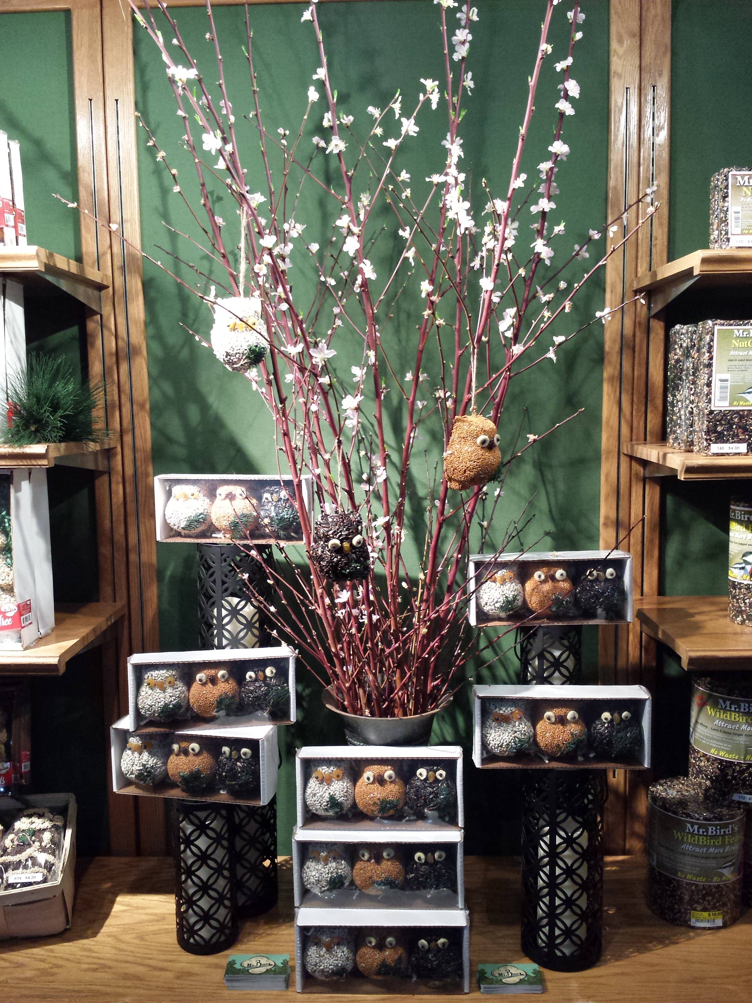 Mr Bird - Wholesale Ornament Set - Ollie The Owl - Singles6