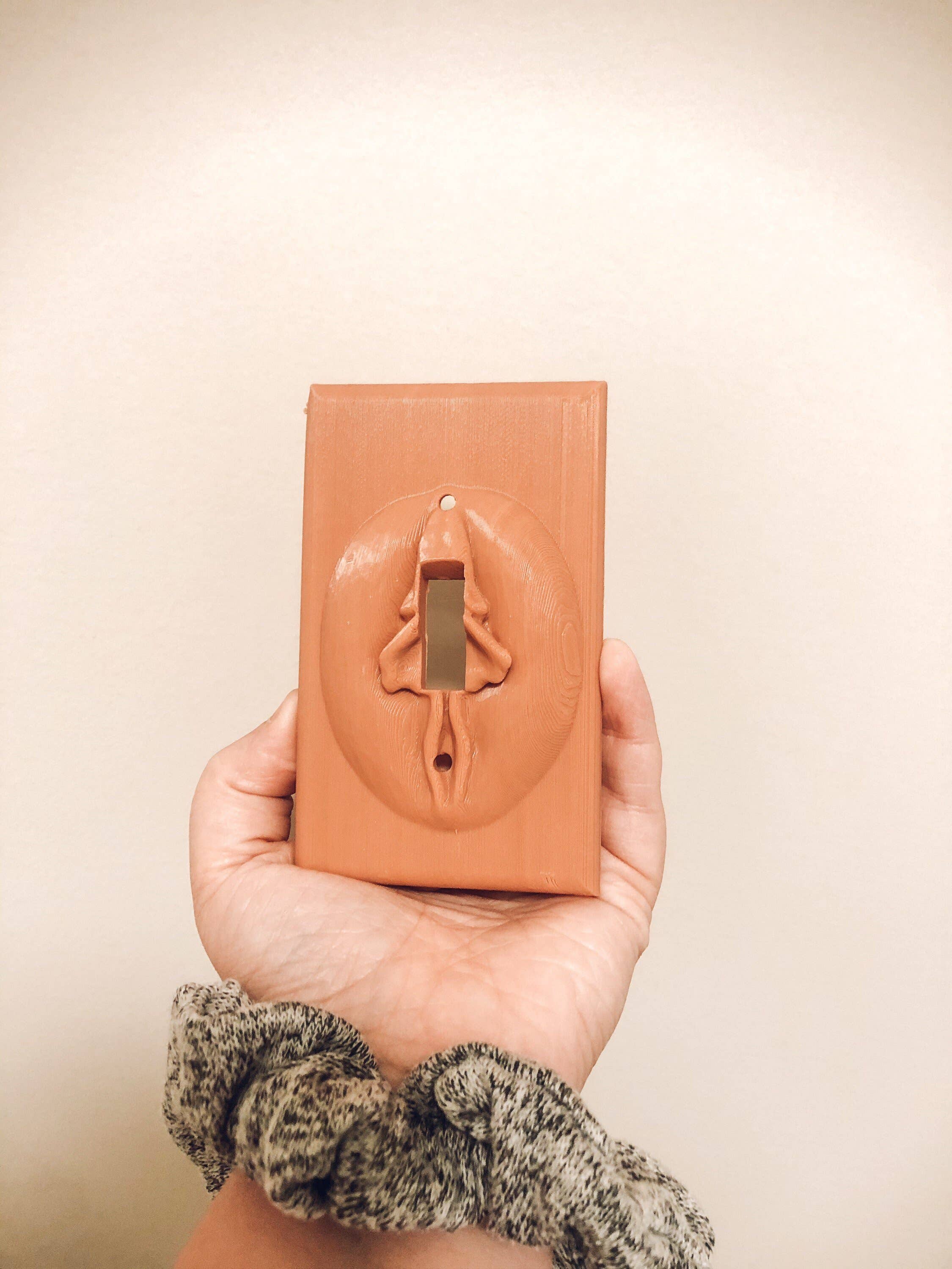 CMbeautifuldesigns - Vente Couvercle/plaque pour interrupteur d'éclairage - Plaque d'interrupteur de lumière vaginale2