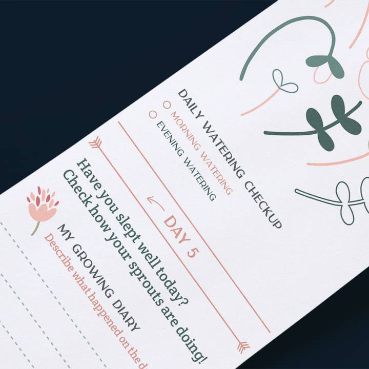 Scrollino - Wholesale DIY Craft Kit - Kids - Activity & Growing Kit - Scrollino Red Clover Sprouts3