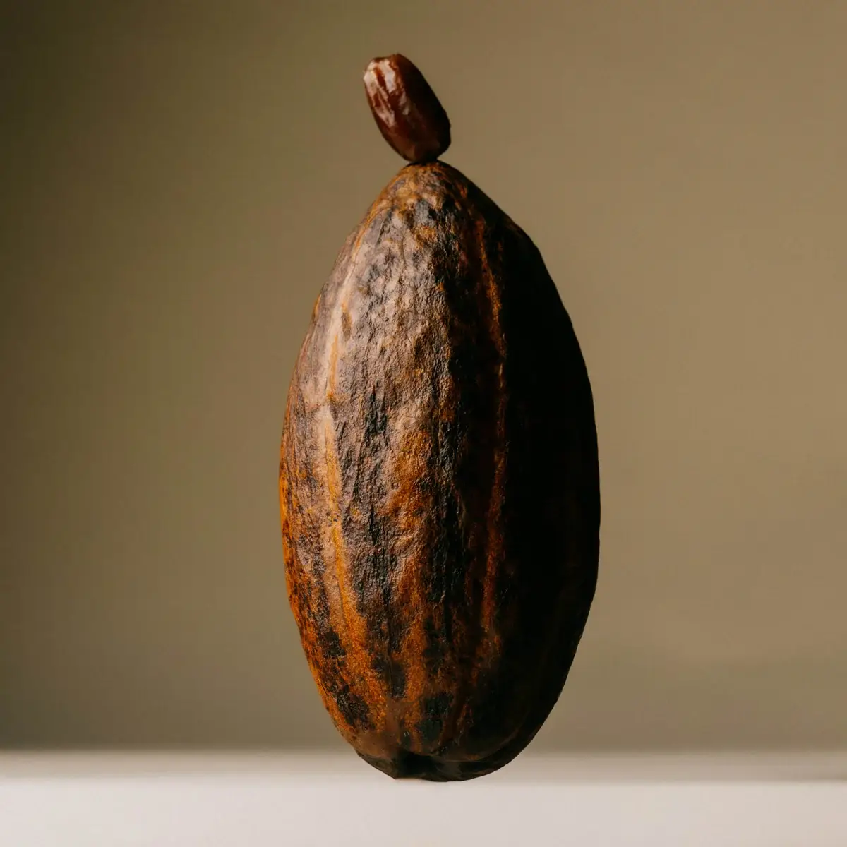 The Conscious Bar - Wholesale Chocolate Bar - Date Sweeteed Smooth Dark Chocolate1