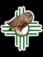 NM Zia w/ Burrowing Owl for wholesale by Wag and Bark